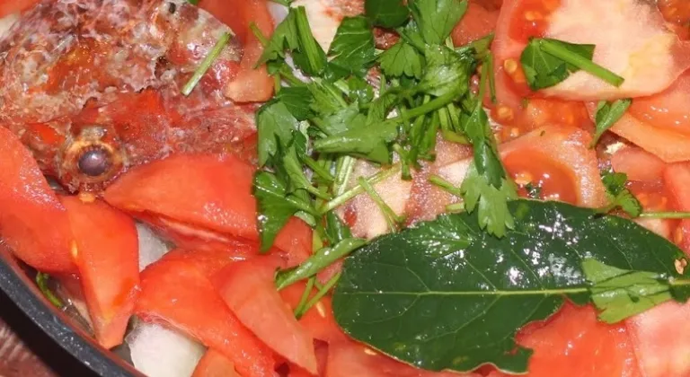 FOÇA USULÜ ADABEY BUĞULAMA