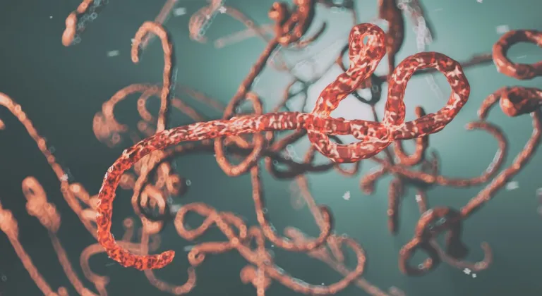 BAĞIRSAK KURDU NASIL DÜŞÜRÜLÜR?