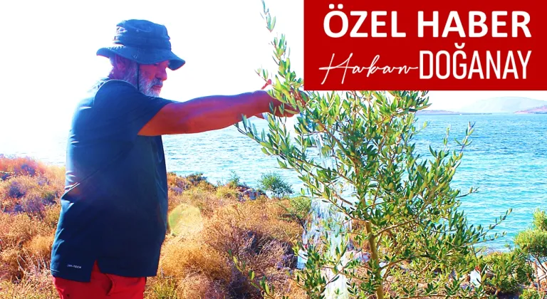 ÇANAK KOYU'NUN GÖNÜLLÜ ÇINARI VE KAHRAMANI SABRİ KELEŞ