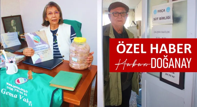 FOÇA BELEDİYESİ YAKIŞANI YAPTI