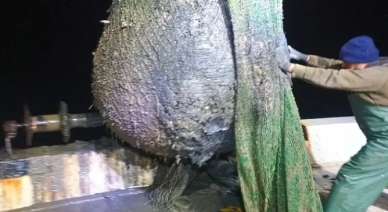 FOÇALI BALIKÇILARDAN ÇAMUR DÖKÜMÜNE TEPKİ