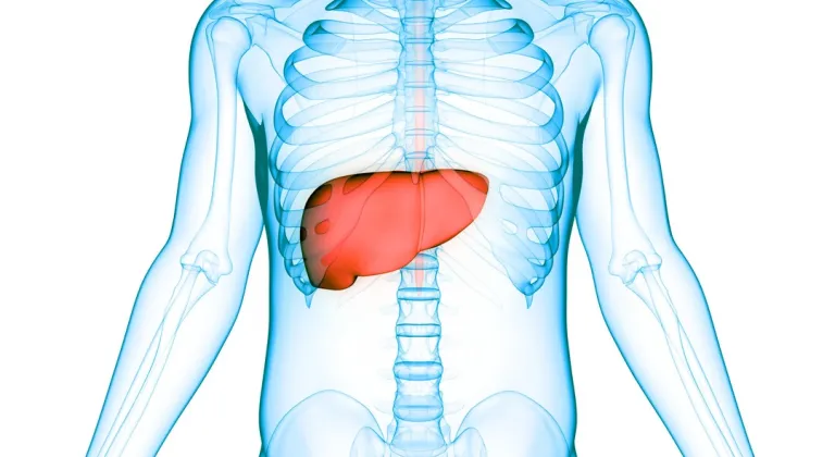 KARACİĞER ENZİMLERİ NASIL DÜŞÜRÜLÜR?